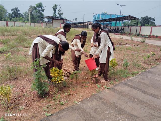 स्वच्छता ही सेवा के अंतर्गत स्वच्छता अभियान 